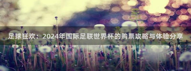 世界杯直播平台：足球狂欢：2024年国际足联世界杯的购票攻略与体验分享