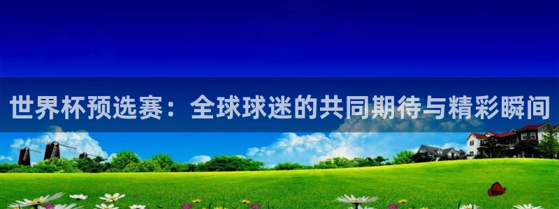 世俱杯直播：世界杯预选赛：全球球迷的共同期待与精彩瞬间