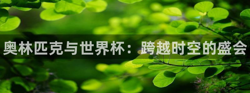 世预赛赛程表：奥林匹克与世界杯：跨越时空的盛会