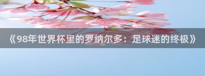 欧洲世界杯预选赛：《98年世界杯里的罗纳尔多：足球迷的终极》