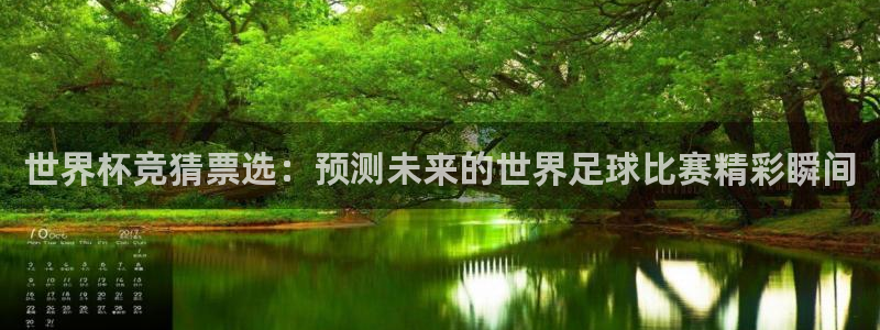 2026世界杯亚洲预选赛：世界杯竞猜票选：预测未来的世界足球比赛精彩瞬间