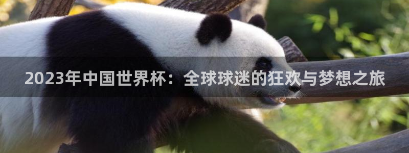 世界杯预选赛赛程：2023年中国世界杯：全球球迷的狂欢与梦想之旅