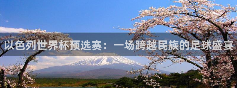 世界杯足球赛2026：以色列世界杯预选赛：一场跨越民族的足球盛宴