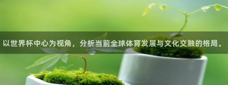 世界杯足球比赛：以世界杯中心为视角，分析当前全球体育发展与文化交融的格局。