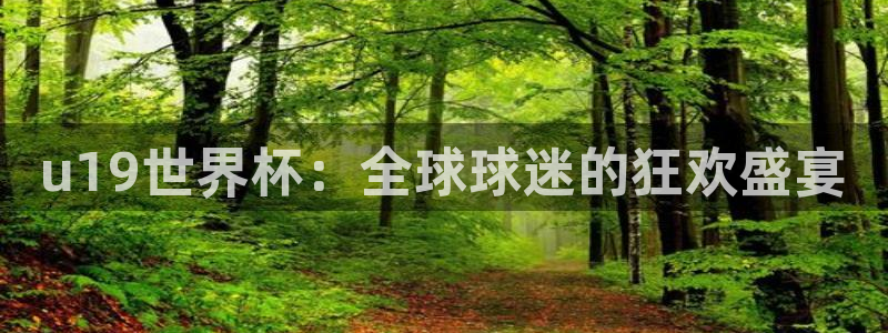 世界杯预选赛亚洲：u19世界杯：全球球迷的狂欢盛宴