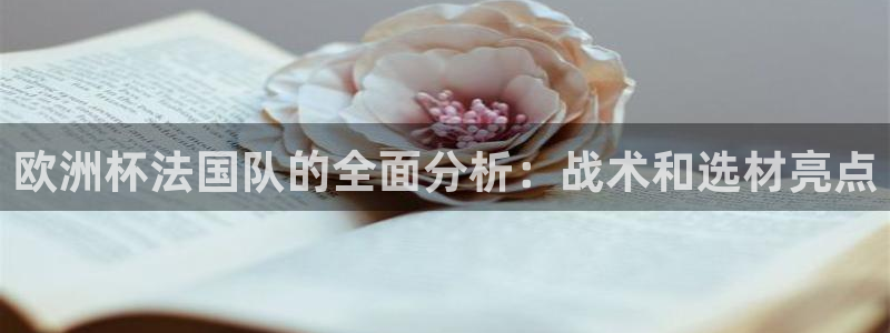 2026年世界杯直播平台：欧洲杯法国队的全面分析：战术和选材亮点