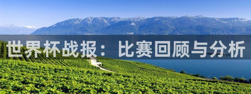 今天所有足球赛程表：世界杯战报：比赛回顾与分析