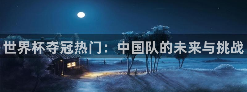 预选赛世界杯：世界杯夺冠热门：中国队的未来与挑战